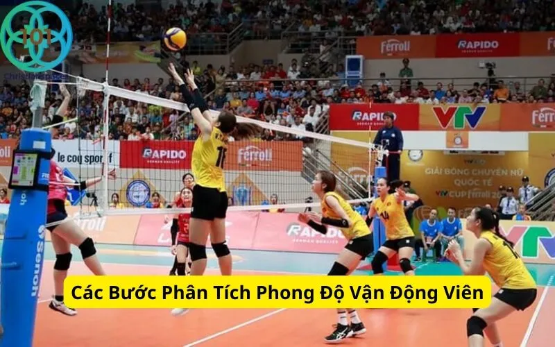 Các Bước Phân Tích Phong Độ Vận Động Viên
