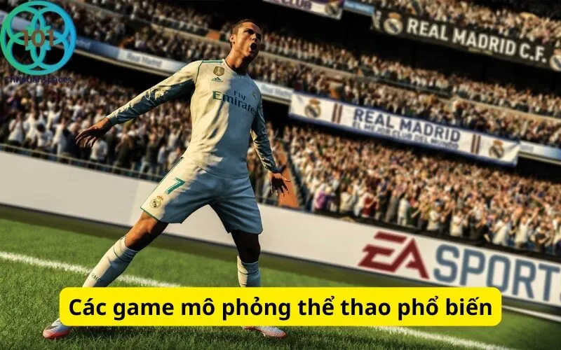 Các game mô phỏng thể thao phổ biến