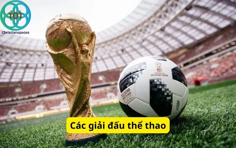 Các giải đấu thể thao