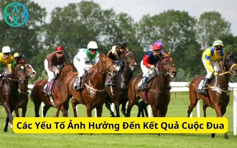Các Yếu Tố Ảnh Hưởng Đến Kết Quả Cuộc Đua