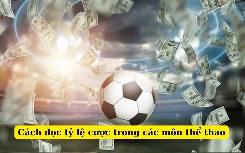 Cách đọc tỷ lệ cược trong các môn thể thao