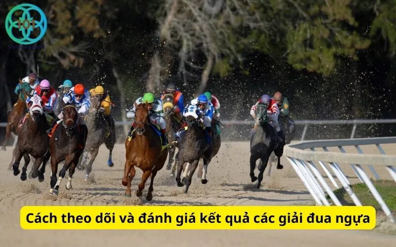 Cách theo dõi và đánh giá kết quả các giải đua ngựa