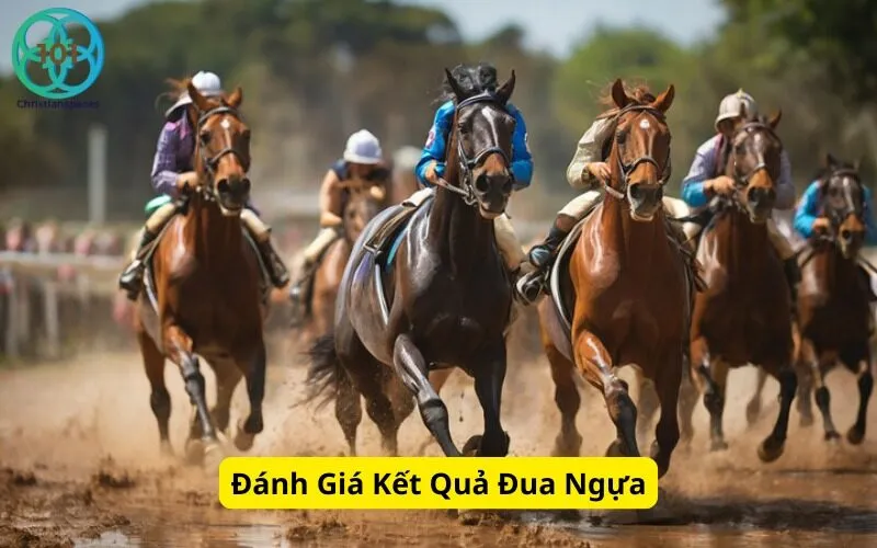 Đánh Giá Kết Quả Đua Ngựa