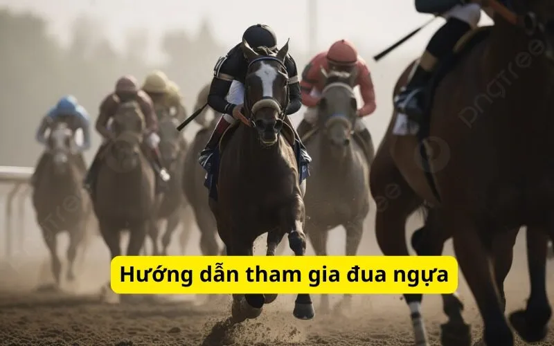 Hướng dẫn tham gia đua ngựa