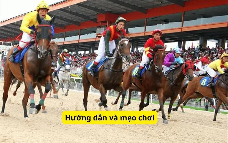 Hướng dẫn và mẹo chơi