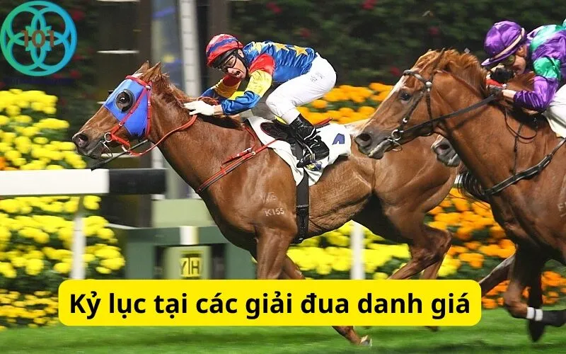 Kỷ lục tại các giải đua danh giá