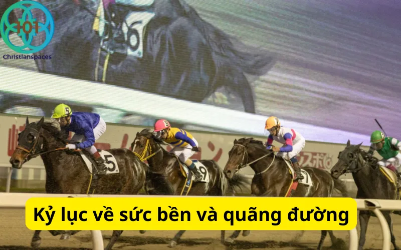 Kỷ lục về sức bền và quãng đường