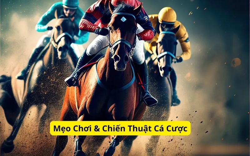 Mẹo Chơi & Chiến Thuật Cá Cược