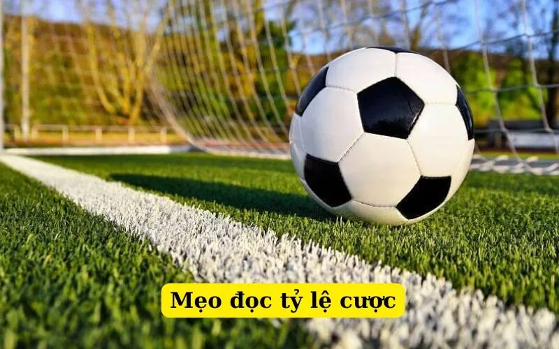 Mẹo đọc tỷ lệ cược
