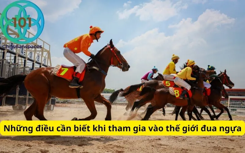 Những điều cần biết khi tham gia vào thế giới đua ngựa
