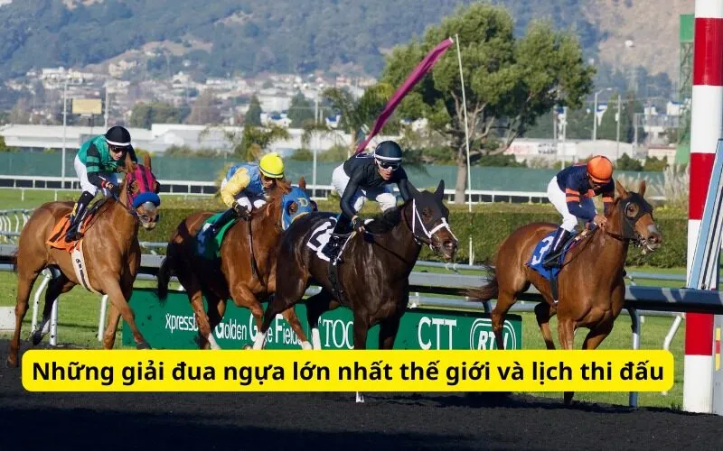 Những giải đua ngựa lớn nhất thế giới và lịch thi đấu