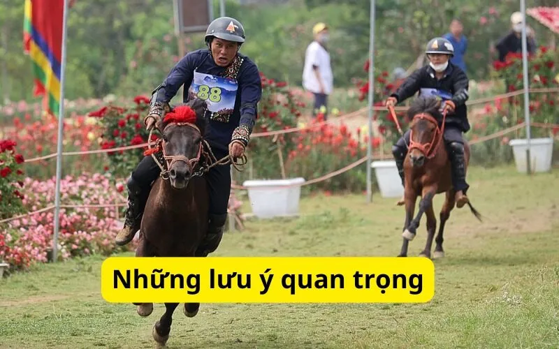 Những lưu ý quan trọng