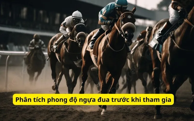 Phân tích phong độ ngựa đua trước khi tham gia