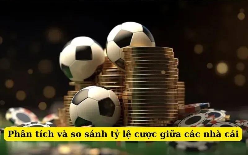 Phân tích và so sánh tỷ lệ cược giữa các nhà cái