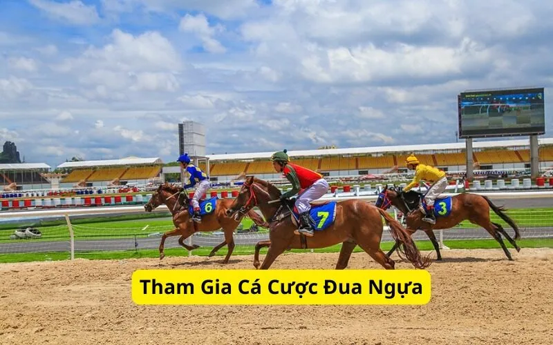 Tham Gia Cá Cược Đua Ngựa