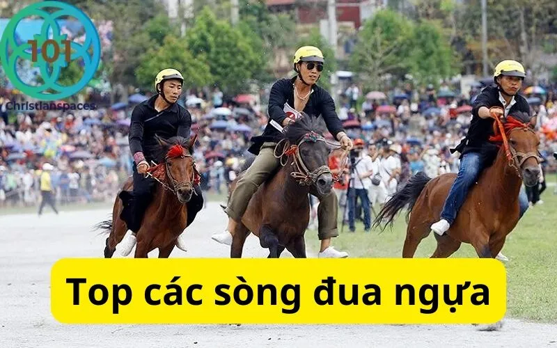 Top các sòng đua ngựa