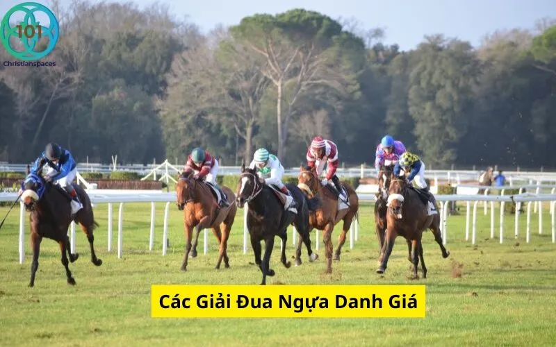 Các Giải Đua Ngựa Danh Giá