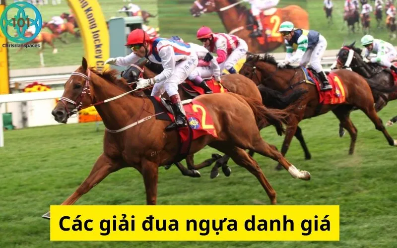 Các giải đua ngựa danh giá
