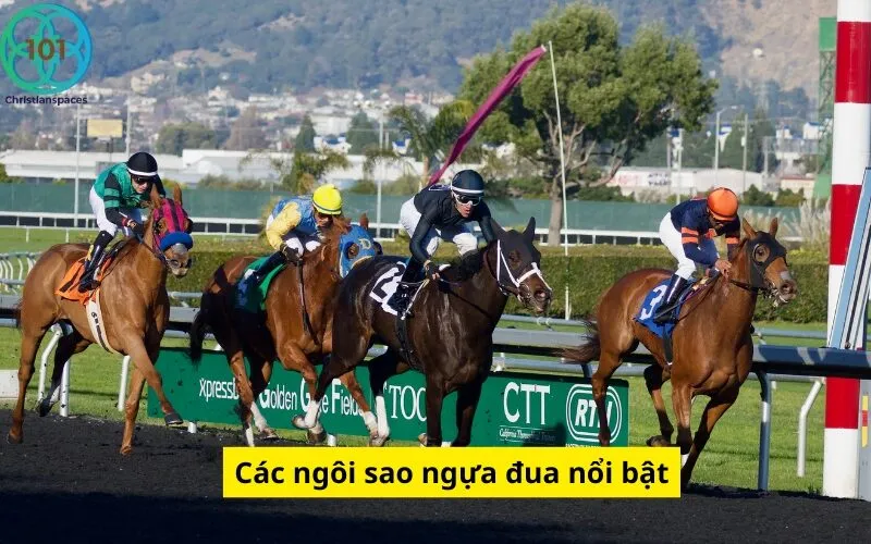 Các ngôi sao ngựa đua nổi bật