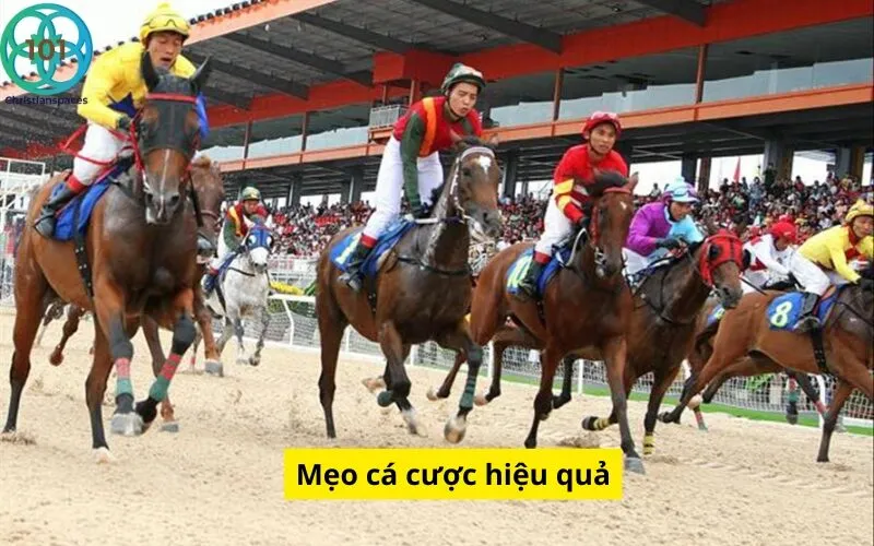 Mẹo cá cược hiệu quả