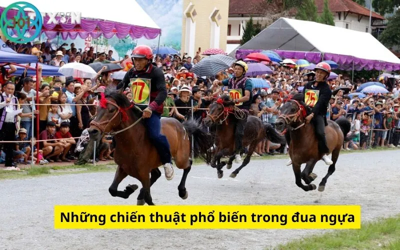 Những chiến thuật phổ biến trong đua ngựa