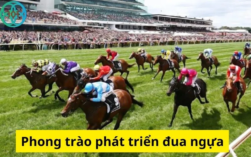 Phong trào phát triển đua ngựa