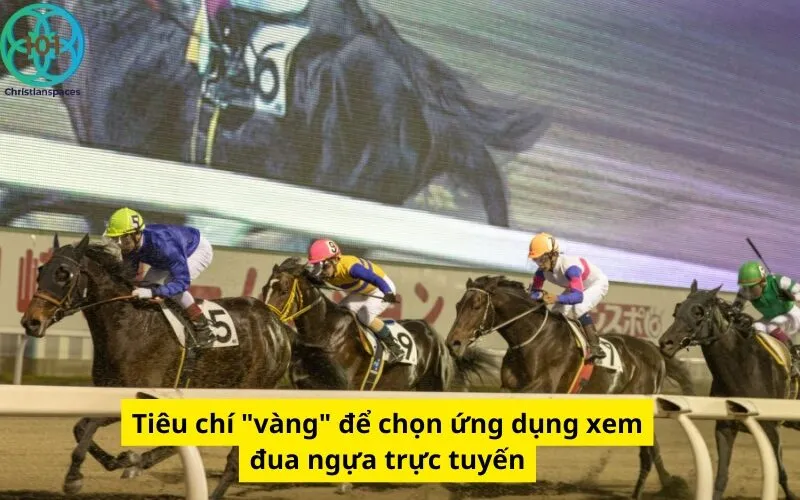 Tiêu chí "vàng" để chọn ứng dụng xem đua ngựa trực tuyến