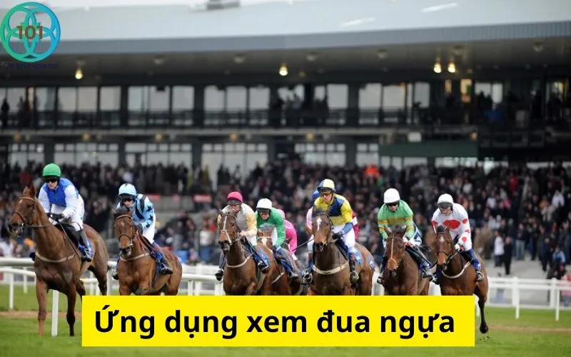 Ứng dụng xem đua ngựa 