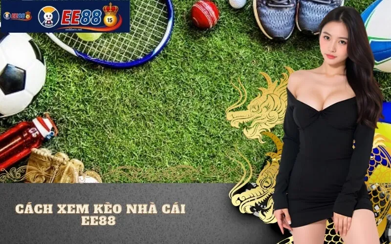 Cách Xem Kèo Nhà Cái EE88 Cách Xem Kèo Nhà Cái EE88 