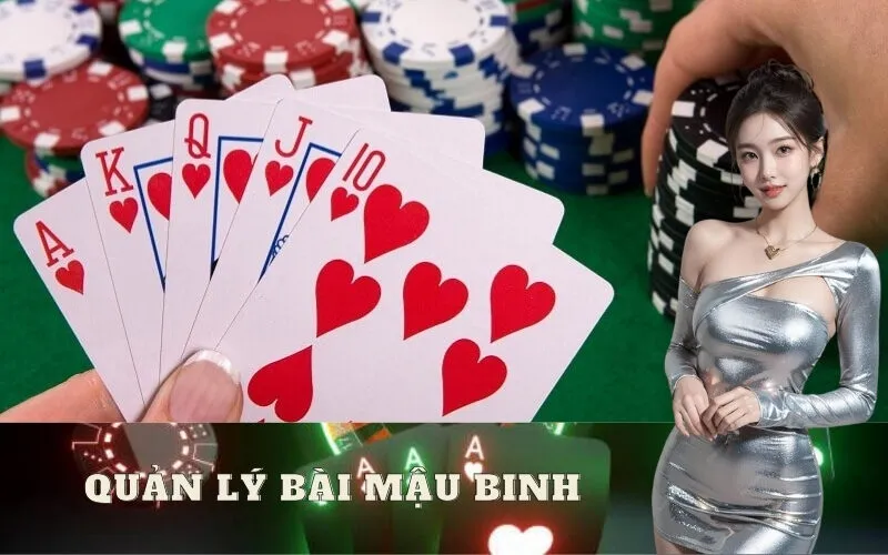 Quản lý bài Mậu Binh