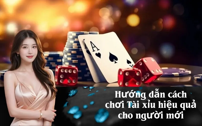 Hướng dẫn cách chơi Tài xỉu hiệu quả cho người mới
