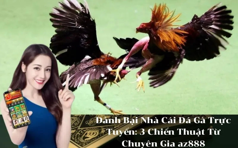 Đánh Bại Nhà Cái Đá Gà Trực Tuyến 3 Chiến Thuật Từ Chuyên Gia az888