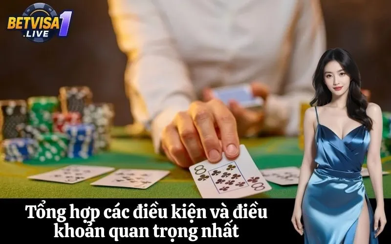 Tổng hợp các điều kiện và điều khoản quan trọng nhất